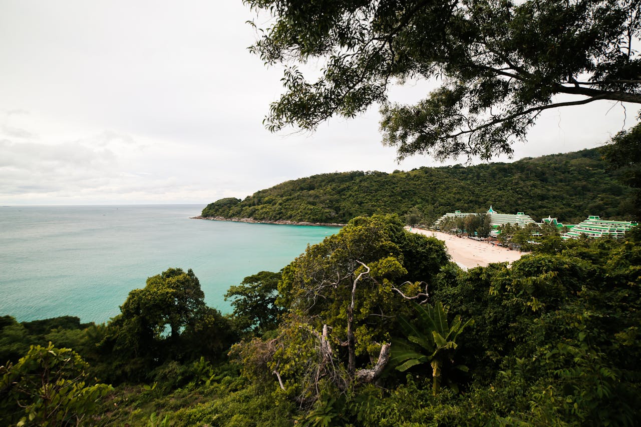 Discover the tranquil beauty of a lush, tropical coastline in Phuket, Thailand, perfect for a serene escape.